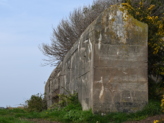Gatteville Chemins des Vastines