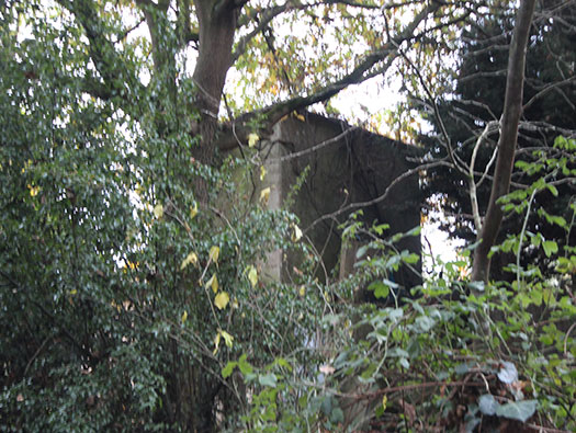 Wn Nz364 Le Petit Marsac