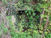 An ammunition Niche near Arromanches..