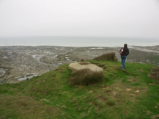 StP207 Fischreiher