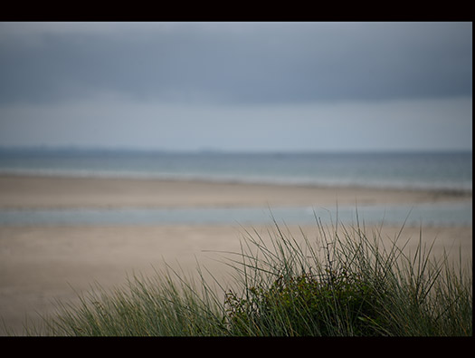 Wn333 St Remy des Landes Plage