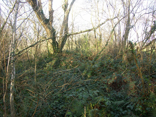 Wn137 Quineville le poteau 'Ginsterhöhe.'