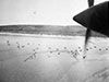 Just before D-Day.
