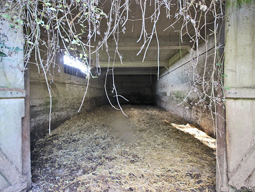 Führerhauptquartier ´Wolfsschlucht 2´ Flakstellung ´C´