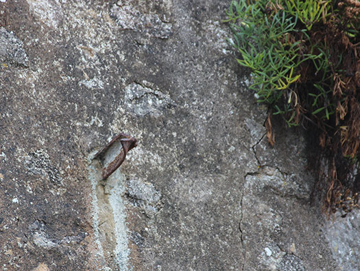 Tu41 Pointe du Bec