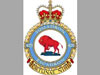 429 'Bison' Sqn RCAF.