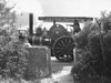 1967 Steam Fair from the garden..