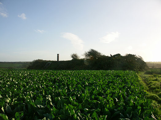 RAF Trerew, Cornwall. Chain Home Radar Station No.18.