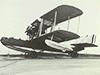 Supermarine Southampton.