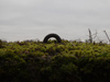 Camouflage ring.