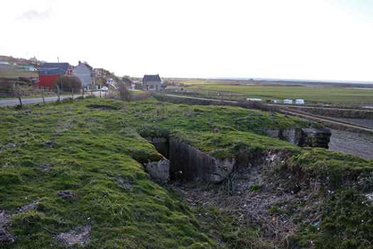 Ca12 Onival.