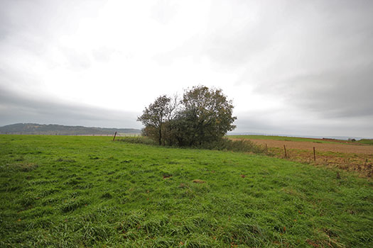 StP Ruin, Mont de Neufchâtel, Pas-De-Calais. PART 2