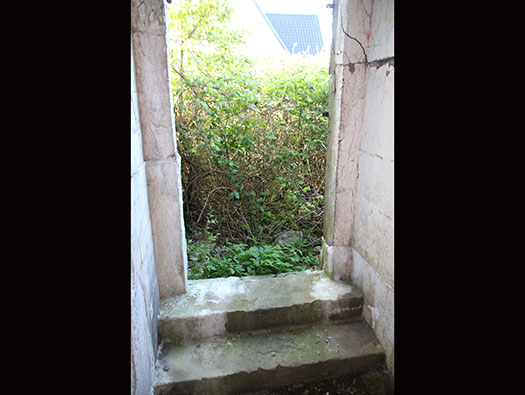 Wn208 Gabelweihe, Pointe aux Oies E. Bttr