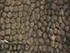 Camouflage.