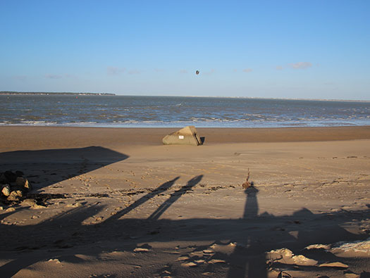 Gi03 'Holland' Point du Galon d'Or