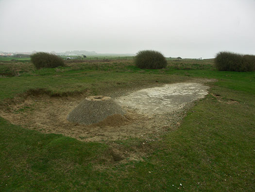 StP207 Fischreiher