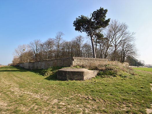 Wn23 Tailleville
