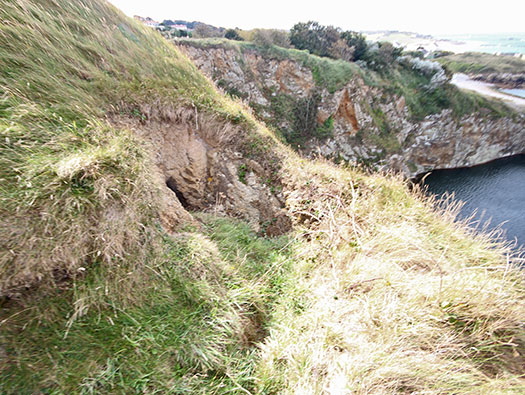 Alderney, M5 Wn 'Hafen-Süd'
