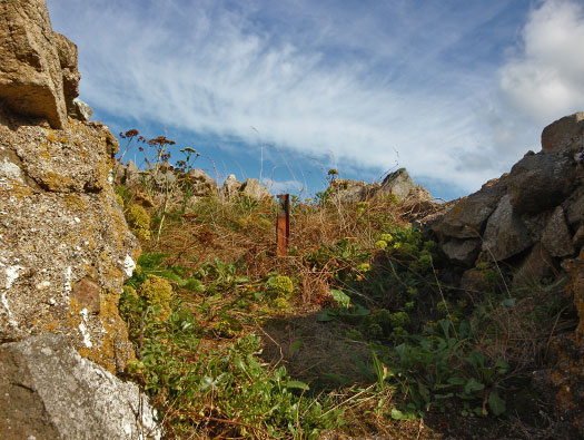 Alderney, M4 Wn 'Dohlenfest'