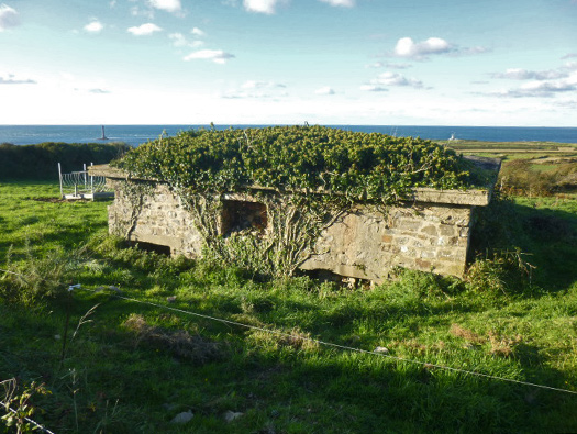 Wn349 Auderville la Roche, Luftwaffe station "Ammer".