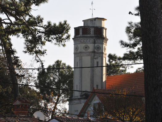 Gi02 Ronce-les-Bains 'Luneburg'