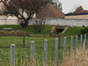 The first of the two French abri air-raid shelter.