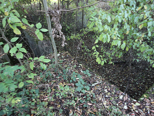 Führerhauptquartier ´Wolfsschlucht 2´ Flakstellung ´B´