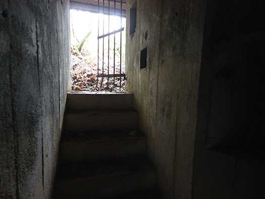 Führerhauptquartier ´Wolfsschlucht 2´ Flakstellung 15