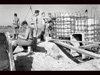 Building a Tobruk.
