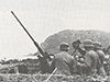 Alderney, W 200 Flak StP.    'Felsenbucht'