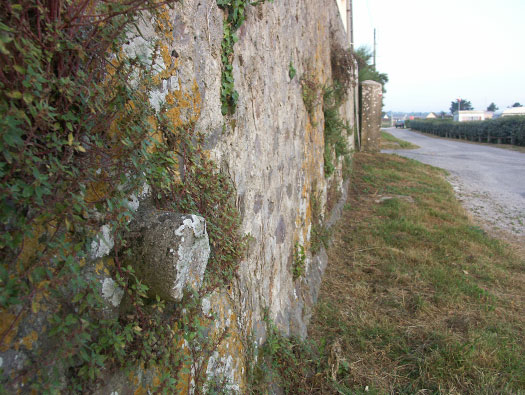Wn18 Quineville
le Bours Neuf le Havre