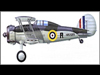 Gloster Gladiator.
