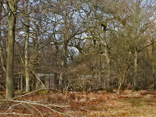 Starveall Farm SLG