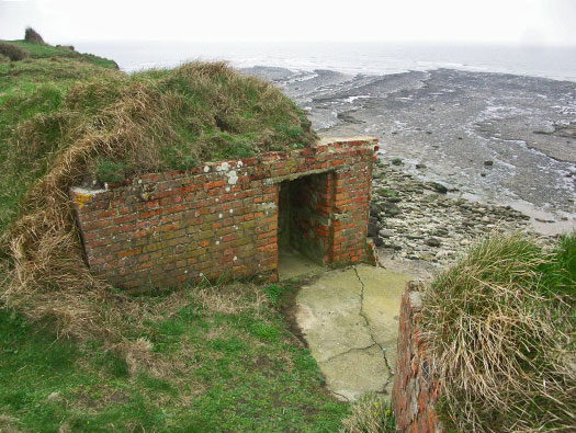 StP207 Fischreiher