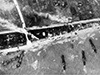 Wn38 St-Côme-de-Fresné, la Guerre