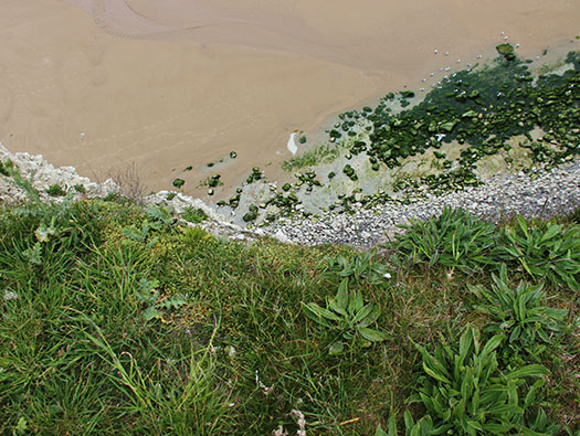 Wn111  Wolfsschlucht, Cran d'Escalles