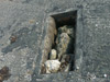 Runway drain with cover now scrapped.