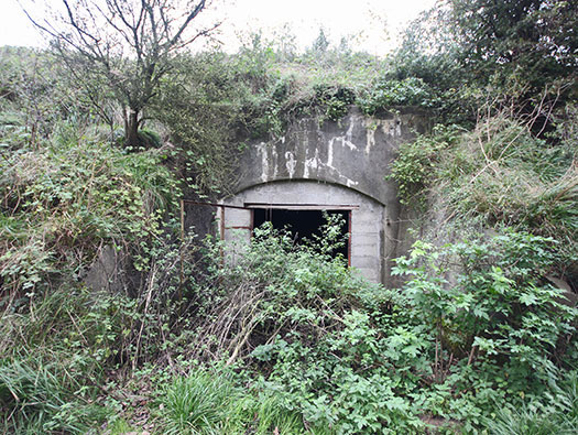 StP Ruine, Mont de Neufchâtel.
