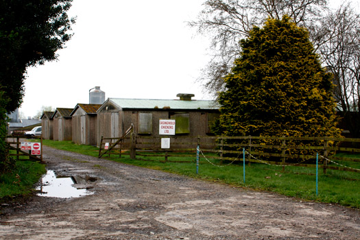 RAF Tholthorpe.