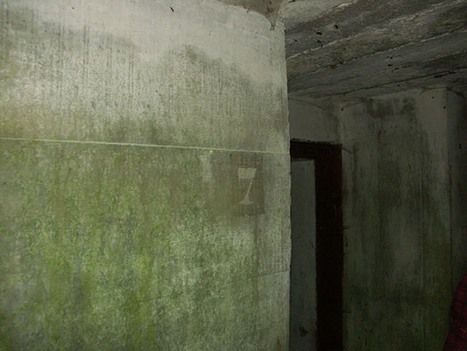Die010 Mont Robin