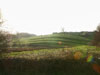 Medieval strip lynchets on the hill opposite.