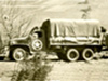 D3 Yellowham Wood