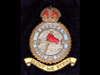 298 Squadron.