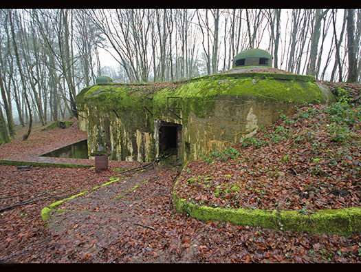 Hobling (A23), Ligne Maginot