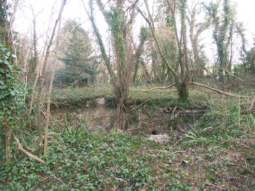 Spetisbury Auxiliary Hide Patrol Base