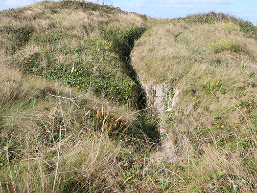 Alderney, M4 Wn 'Dohlenfest'