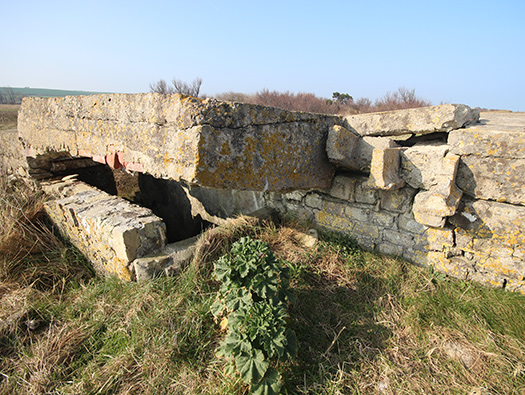Wn35 Ver-sur-Mer, le Marais