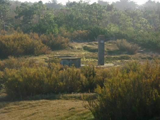 Ro425 ´Kora´, Ro429 'Korola', Ro424 'Käthe', Ile de Ré