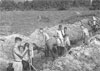 Digging trenches.