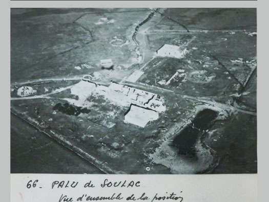 Gi326 Moutardier 'Insterburg'
